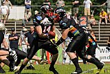 Düsseldorf Panther vs. Dresden Monarchs - 07.07.2013 GFL Nord: Düsseldorf Panther vs. Dresden Monarchs (14:42)
