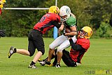 Neuss Frogs vs. Aachen Düren Demons - 21.09.2013 Neuss Frogs vs. Aachen Düren Demons (36:0)