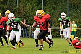Neuss Frogs vs. Aachen Düren Demons - 21.09.2013 Neuss Frogs vs. Aachen Düren Demons (36:0)