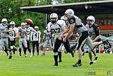 Mönchengladbach Wolfpack vs. Aachen Vampires - 13.04.2014 Mönchengladbach Wolfpack vs. Aachen Vampires (8:8)