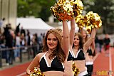 Düsseldorf Panther vs. Köln Falcons - 26.04.2014 GFL Nord: Düsseldorf Panther vs. Köln Falcons (25:27)