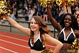 Düsseldorf Panther vs. Köln Falcons - 26.04.2014 GFL Nord: Düsseldorf Panther vs. Köln Falcons (25:27)