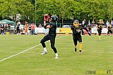 Düsseldorf Bulldozer vs. Rheine Raptors - 31.05.2014 Düsseldorf Bulldozer vs. Rheine Raptors (6:33)