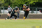 Düsseldorf Bulldozer vs. Rheine Raptors - 31.05.2014 Düsseldorf Bulldozer vs. Rheine Raptors (6:33)