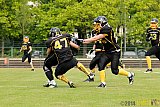 Düsseldorf Bulldozer vs. Rheine Raptors - 31.05.2014 Düsseldorf Bulldozer vs. Rheine Raptors (6:33)