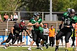 Düsseldorf Panther Prospects vs. Rheine Raptors - 15.06.2014 Düsseldorf Panther Prospects vs. Rheine Raptors (19:24)