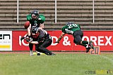 Düsseldorf Panther Prospects vs. Rheine Raptors - 15.06.2014 Düsseldorf Panther Prospects vs. Rheine Raptors (19:24)