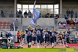 Essen Assindia Cardinals vs. Bonn Gamecocks - 12.04.2015 Preseason Game Essen Assindia Cardinals vs. Bonn Gamecocks (14:12)