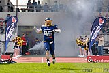 Essen Assindia Cardinals vs. Bonn Gamecocks - 12.04.2015 Preseason Game Essen Assindia Cardinals vs. Bonn Gamecocks (14:12)