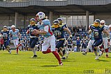 Essen Assindia Cardinals vs. Bonn Gamecocks - 12.04.2015 Preseason Game Essen Assindia Cardinals vs. Bonn Gamecocks (14:12)