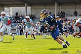 Essen Assindia Cardinals vs. Bonn Gamecocks - 12.04.2015 Preseason Game Essen Assindia Cardinals vs. Bonn Gamecocks (14:12)