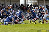 Essen Assindia Cardinals vs. Bonn Gamecocks - 12.04.2015 Preseason Game Essen Assindia Cardinals vs. Bonn Gamecocks (14:12)