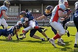 Essen Assindia Cardinals vs. Bonn Gamecocks - 12.04.2015 Preseason Game Essen Assindia Cardinals vs. Bonn Gamecocks (14:12)