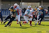 Essen Assindia Cardinals vs. Bonn Gamecocks - 12.04.2015 Preseason Game Essen Assindia Cardinals vs. Bonn Gamecocks (14:12)