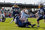Essen Assindia Cardinals vs. Bonn Gamecocks - 12.04.2015 Preseason Game Essen Assindia Cardinals vs. Bonn Gamecocks (14:12)