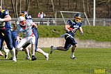 Essen Assindia Cardinals vs. Bonn Gamecocks - 12.04.2015 Preseason Game Essen Assindia Cardinals vs. Bonn Gamecocks (14:12)