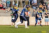 Essen Assindia Cardinals vs. Bonn Gamecocks - 12.04.2015 Preseason Game Essen Assindia Cardinals vs. Bonn Gamecocks (14:12)