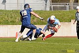 Essen Assindia Cardinals vs. Bonn Gamecocks - 12.04.2015 Preseason Game Essen Assindia Cardinals vs. Bonn Gamecocks (14:12)