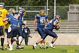 Essen Assindia Cardinals vs. Ritterhude Badgers - 19.09.2015 RL NRW: Essen Assindia Cardinals vs. Ritterhude Badgers (43:0)