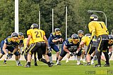 Essen Assindia Cardinals vs. Ritterhude Badgers - 19.09.2015 RL NRW: Essen Assindia Cardinals vs. Ritterhude Badgers (43:0)