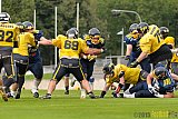 Essen Assindia Cardinals vs. Ritterhude Badgers - 19.09.2015 RL NRW: Essen Assindia Cardinals vs. Ritterhude Badgers (43:0)