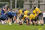 Essen Assindia Cardinals vs. Ritterhude Badgers - 19.09.2015 RL NRW: Essen Assindia Cardinals vs. Ritterhude Badgers (43:0)