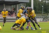 Essen Assindia Cardinals vs. Ritterhude Badgers - 19.09.2015 RL NRW: Essen Assindia Cardinals vs. Ritterhude Badgers (43:0)