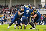 Essen Assindia Cardinals vs. Ritterhude Badgers - 19.09.2015 RL NRW: Essen Assindia Cardinals vs. Ritterhude Badgers (43:0)