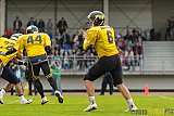 Essen Assindia Cardinals vs. Ritterhude Badgers - 19.09.2015 RL NRW: Essen Assindia Cardinals vs. Ritterhude Badgers (43:0)