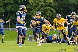 Essen Assindia Cardinals vs. Ritterhude Badgers - 19.09.2015 RL NRW: Essen Assindia Cardinals vs. Ritterhude Badgers (43:0)