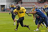 Essen Assindia Cardinals vs. Ritterhude Badgers - 19.09.2015 RL NRW: Essen Assindia Cardinals vs. Ritterhude Badgers (43:0)