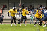 Essen Assindia Cardinals vs. Ritterhude Badgers - 19.09.2015 RL NRW: Essen Assindia Cardinals vs. Ritterhude Badgers (43:0)
