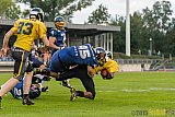 Essen Assindia Cardinals vs. Ritterhude Badgers - 19.09.2015 RL NRW: Essen Assindia Cardinals vs. Ritterhude Badgers (43:0)