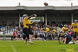 Essen Assindia Cardinals vs. Ritterhude Badgers - 19.09.2015 RL NRW: Essen Assindia Cardinals vs. Ritterhude Badgers (43:0)