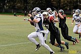 Cologne Falcons vs. Dortmund Giants - 20.09.2015 OL NRW: Cologne Falcons vs. Dortmund Giants (38:16)