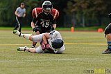 Cologne Falcons vs. Dortmund Giants - 20.09.2015 OL NRW: Cologne Falcons vs. Dortmund Giants (38:16)