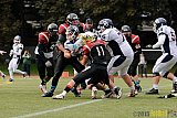 Cologne Falcons vs. Dortmund Giants - 20.09.2015 OL NRW: Cologne Falcons vs. Dortmund Giants (38:16)