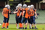 Recklinghausen Chargers vs. Sauerland Mustangs - 16.04.2016 LL NRW: Recklinghausen Chargers vs. Sauerland Mustangs (12:7)