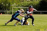 Schiefbahn Riders vs. Siegen Sentinels - 23.04.2016 OL NRW: Schiefbahn Riders vs. Siegen Sentinels (30:33)