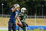 Essen Assindia Cardinals vs. Bielefeld Bulldogs - 13.08.2016 GFL2: Essen Assindia Cardinals vs. Bielefeld Bulldogs (49:6)