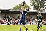 Essen Assindia Cardinals vs. Bielefeld Bulldogs - 13.08.2016 GFL2: Essen Assindia Cardinals vs. Bielefeld Bulldogs (49:6)