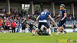 Essen Assindia Cardinals vs. Bielefeld Bulldogs - 13.08.2016 GFL2: Essen Assindia Cardinals vs. Bielefeld Bulldogs (49:6)