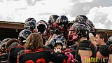 Düsseldorf Panther vs. Dresden Monarchs - 20.08.2016 GFL Nord: Düsseldorf Panther vs. Dresden Monarchs (16:69)