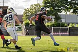 Düsseldorf Panther vs. Dresden Monarchs - 20.08.2016 GFL Nord: Düsseldorf Panther vs. Dresden Monarchs (16:69)