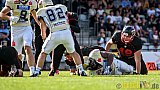 Düsseldorf Panther vs. Dresden Monarchs - 20.08.2016 GFL Nord: Düsseldorf Panther vs. Dresden Monarchs (16:69)