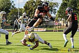 Düsseldorf Panther vs. Dresden Monarchs - 20.08.2016 GFL Nord: Düsseldorf Panther vs. Dresden Monarchs (16:69)