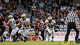 Düsseldorf Panther vs. Dresden Monarchs - 20.08.2016 GFL Nord: Düsseldorf Panther vs. Dresden Monarchs (16:69)