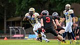 Düsseldorf Panther vs. Dresden Monarchs - 20.08.2016 GFL Nord: Düsseldorf Panther vs. Dresden Monarchs (16:69)