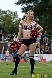 Düsseldorf Panther vs. Dresden Monarchs - 20.08.2016 GFL Nord: Düsseldorf Panther vs. Dresden Monarchs (16:69)