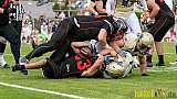 Düsseldorf Panther vs. Dresden Monarchs - 20.08.2016 GFL Nord: Düsseldorf Panther vs. Dresden Monarchs (16:69)